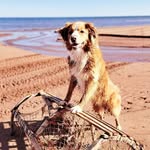 Brenda Bursey - @brendabursey - Instagram
