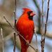 Brenda Byrd - Facebook