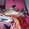 Brenda Carreon - @brenda2122019 - TikTok