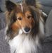 Brenda Cardish - Facebook