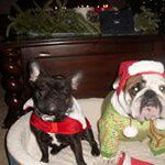 Brenda Cofer Butz - @butzbrenda - Instagram