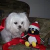 brendacofer193 - @brendalogan193 - TikTok