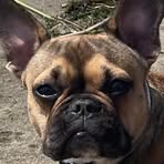Brenda Comrie - Facebook