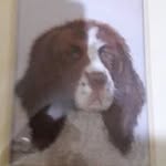 Brenda Cross - @brenda.cross1379 - Instagram
