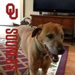 Brenda Dodd - @dodd6643 - Instagram