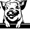 Brenda Duffy - @brenda.duffy2 - TikTok