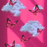 Brenda Duffy - @brendaduffy216 - Instagram