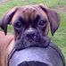 Brenda Eckhart - Facebook