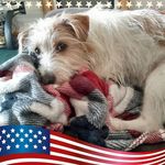 Brenda Evers - @brenda.evers.372 - Instagram