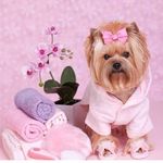 Brenda Evers - @brendaeverslapelu - Instagram