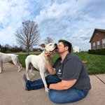 Brenda Ewing - @tri_boxer_mom - Instagram