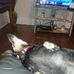 Brenda Fields - Facebook