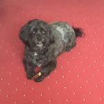 Brenda Fraser - @brendafraser3129 - Instagram