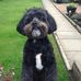 Brenda Fraser - Facebook