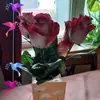 brendafrasershadd - @brendafrasershadd - TikTok