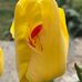 Brenda Hackett - Facebook