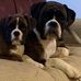 Brenda Hare - Facebook