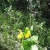 Brenda Hare - Facebook