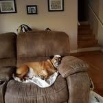 Brenda Hare - @bhare4668 - Instagram