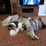 Brenda Head - Facebook