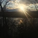 Brenda Smith Head - @the_brenda_head - Instagram