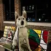 brendas - @brendahendricks85 - TikTok