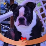 Brenda Holcomb - @holcomb6827 - Instagram