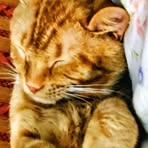 Brenda Hyde - Facebook