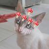 brendaideee - @brendaideee - TikTok
