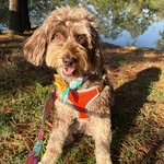 Brenda Ivey - @ivey497 - Instagram