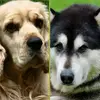brendajagers6 - @brendajagers6 - TikTok