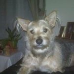 Brenda Ingram Jarrell - @brenda_jarrell - Instagram
