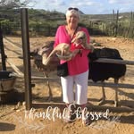 Brenda Wooten Jarrell - @brenda_wooten_jarrell - Instagram