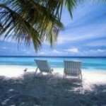 Brenda Garretson Keefer - @brendakeefer - Instagram