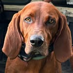 Brenda Keefer - @mommavigilante - Instagram