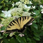 Brenda Kidd - @bk4kids - Instagram