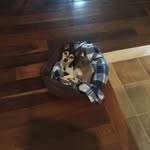 Brenda Kipp - @brenda.kipp - Instagram