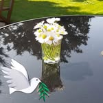 Brenda Kippax - @kippaxbrenda - Instagram