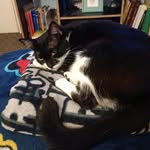 Brenda Kaye Knapp - @brendaknapp115 - Instagram