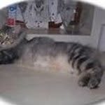 Brenda Knapp - @brendaknapp570 - Instagram