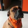 brendakoehler47 - @brendakoehler47 - TikTok