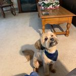 Brenda Kramer - @birdiek5171 - Instagram