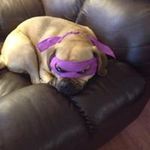 Brenda Kramer - @brendakramer1718 - Instagram