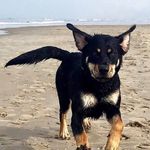 Brenda Kramer - @brendakramer75 - Instagram