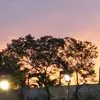 Brenda  lam - @2169849682 - TikTok