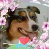 Brenda Lambert649 - @brendalambert649 - TikTok