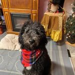 Brenda Lambert - @brendalambert45 - Instagram