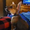 Brenda Lambert - @brenda.lambert80 - TikTok