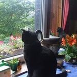 Brenda Lambert - @brendalambert62 - Instagram