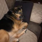 Brenda Carmichael Latimer - Facebook